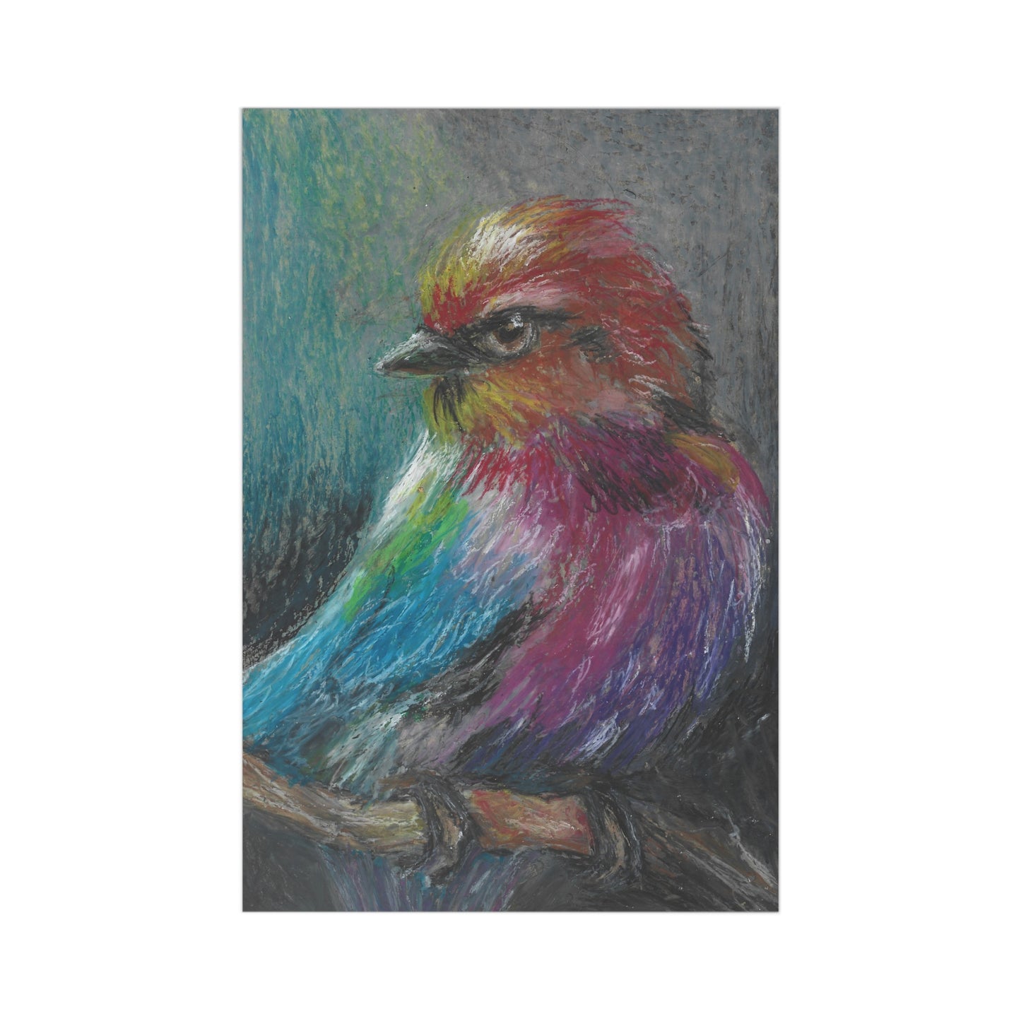 Bird Art Postcard Set — 7 Colorful Hand-Drawn Bird Postcards
