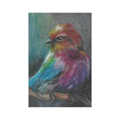 Bird Art Postcard Set — 7 Colorful Hand-Drawn Bird Postcards